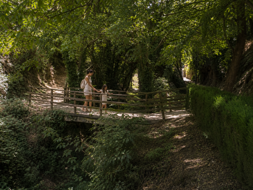 Floresta 3