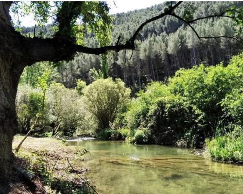 Río Palancia
